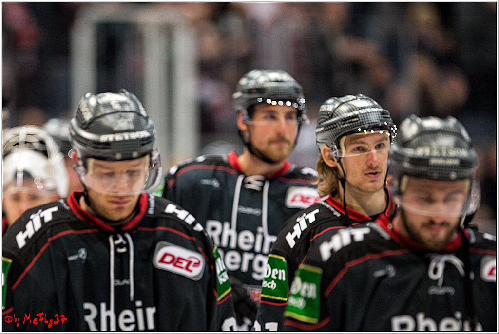 Koelner Haie - Eisbaeren Berlin, 13.11.2016